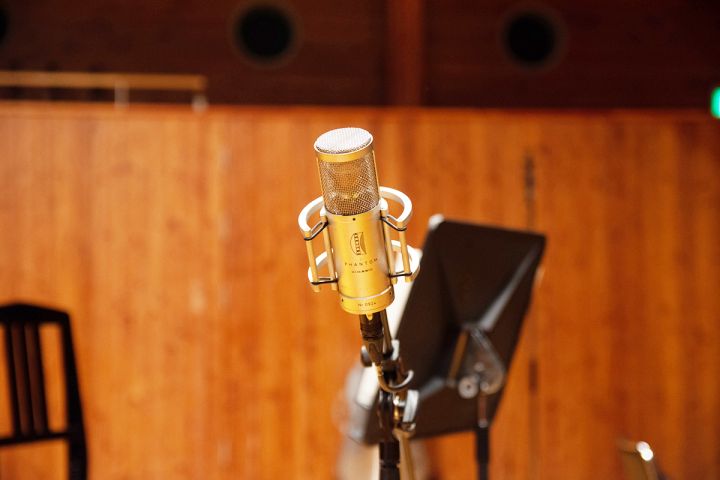 低音用：Brauner Phantom Classic x 1