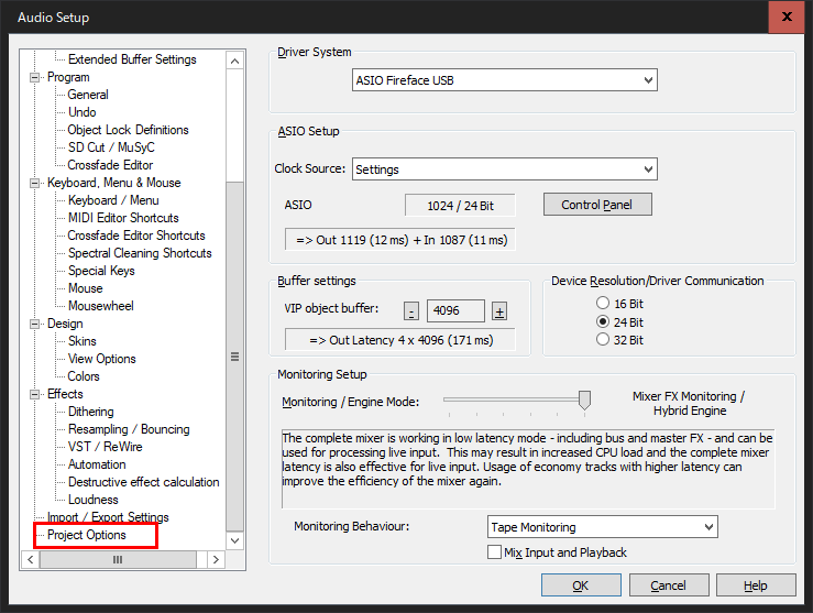 「Project Options」をクリック