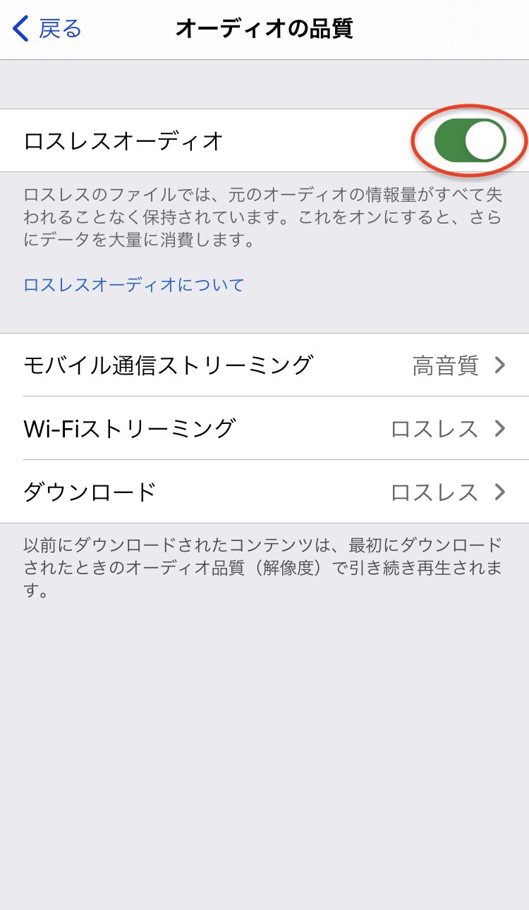「ロスレスオーディオ」項目をONに